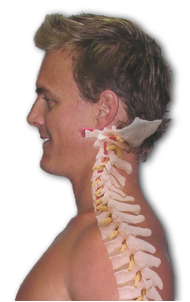 Head and neck pain is the second most common area of chiropractic practice